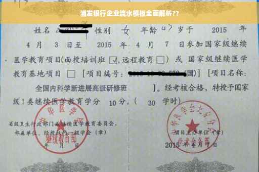 浦发银行企业流水模板全面解析??