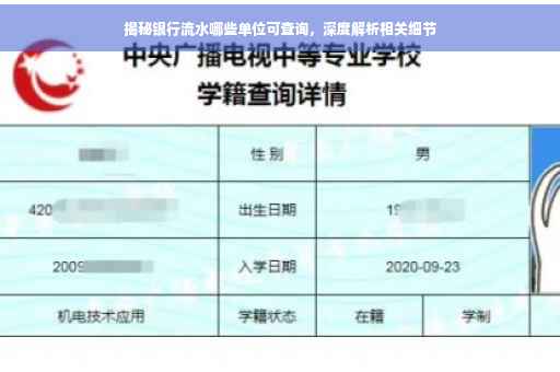揭秘银行流水哪些单位可查询，深度解析相关细节