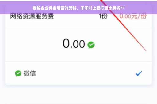 揭秘企业资金运营的奥秘，半年以上银行流水解析??