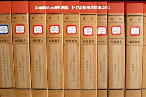 父母毕业证遗失详解，补办流程与注意事项?⚡️