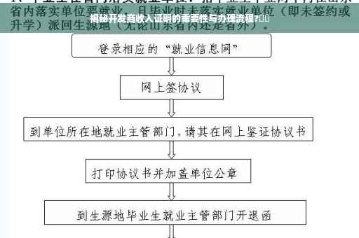 揭秘开发商收入证明的重要性与办理流程?⚡️