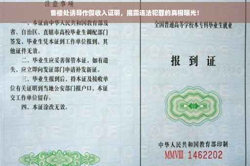 售楼处诱导作假收入证明，揭露违法犯罪的真相曝光！