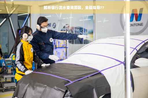 解析银行流水查询原因，全程指导??