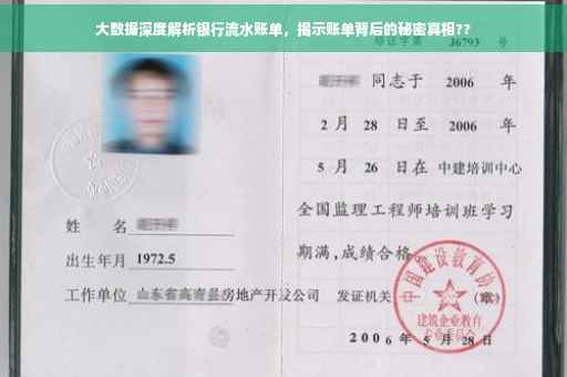 大数据深度解析银行流水账单，揭示账单背后的秘密真相??