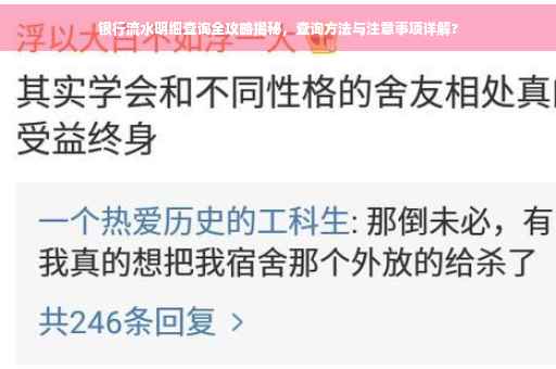 银行流水明细查询全攻略揭秘，查询方法与注意事项详解?