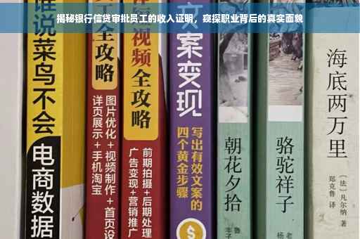 揭秘银行信贷审批员工的收入证明，窥探职业背后的真实面貌