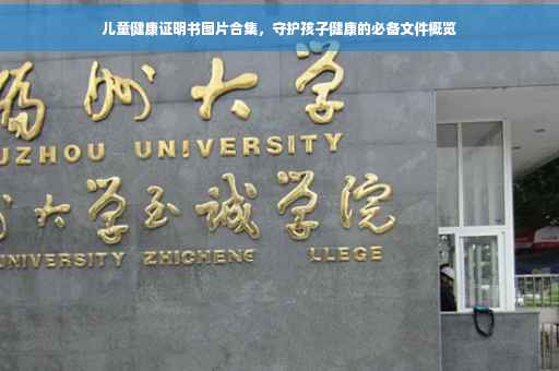 儿童健康证明书图片合集，守护孩子健康的必备文件概览