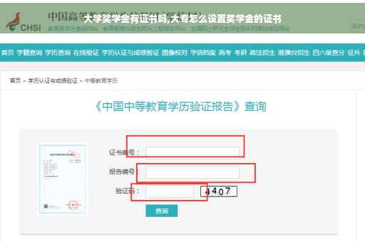 大学奖学金有证书吗,大专怎么设置奖学金的证书