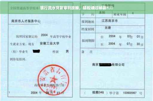 银行流水贷款审批攻略，轻松通过秘籍?⚡️