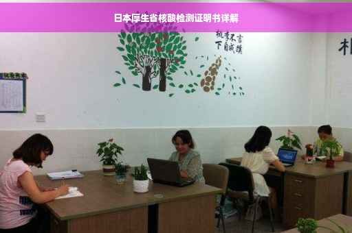 日本厚生省核酸检测证明书详解