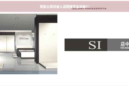 贷款公司月收入证明撰写全攻略?✨