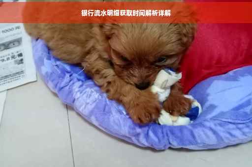 银行流水明细获取时间解析详解