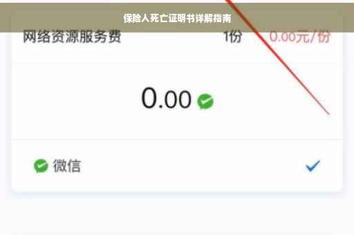 保险人死亡证明书详解指南