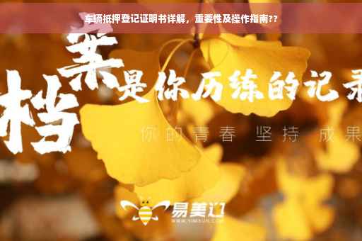 车辆抵押登记证明书详解，重要性及操作指南??