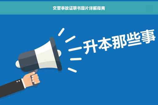 交警事故证明书图片详解指南