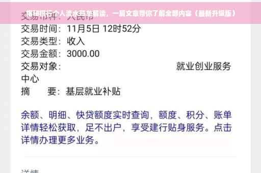 揭秘银行个人流水账单解读,一篇文章带你了解全部内容(最新升级版) 揭秘银行个人流水账单解读,一篇文章带你了解全部内容(最新升级版)