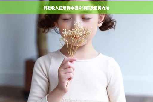 贷款收入证明样本图片详解及使用方法