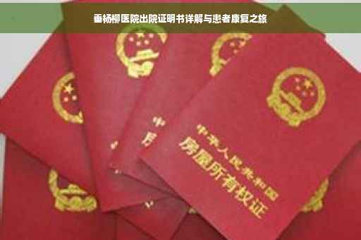 垂杨柳医院出院证明书详解与患者康复之旅