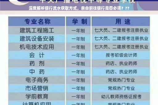 深度解析银行流水获取方式，亲自前往银行是否必须？??