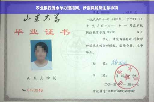 农业银行流水单办理指南，步骤详解及注意事项