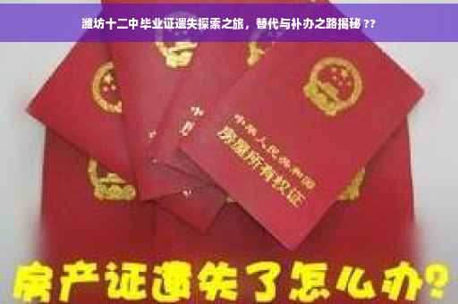 潍坊十二中毕业证遗失探索之旅，替代与补办之路揭秘 ??