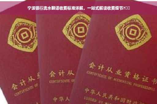 宁波银行流水翻译收费标准详解，一站式解读收费细节?⚡️