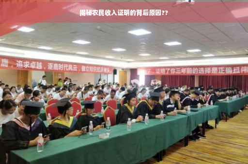 揭秘农民收入证明的背后原因??