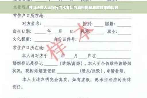 共同还款人无银行流水背后的真相揭秘与应对策略探讨