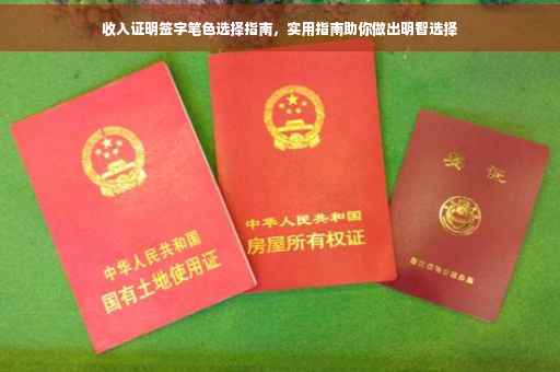 收入证明签字笔色选择指南，实用指南助你做出明智选择