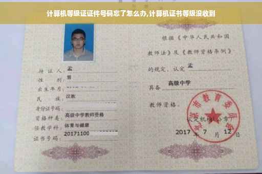 计算机等级证证件号码忘了怎么办,计算机证书等级没收到
