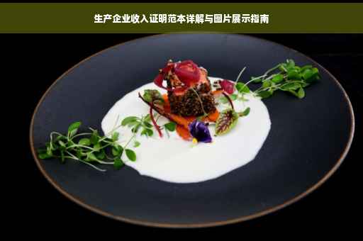 生产企业收入证明范本详解与图片展示指南