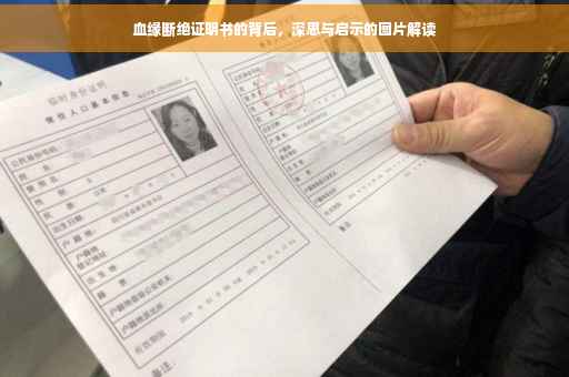 血缘断绝证明书的背后，深思与启示的图片解读