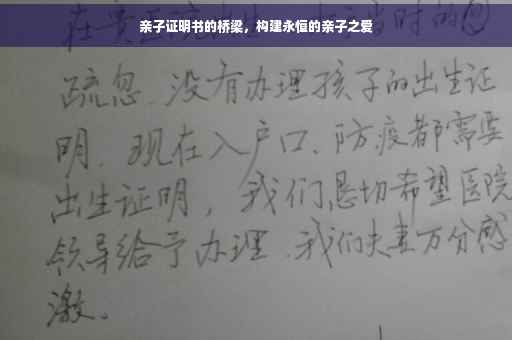 亲子证明书的桥梁，构建永恒的亲子之爱