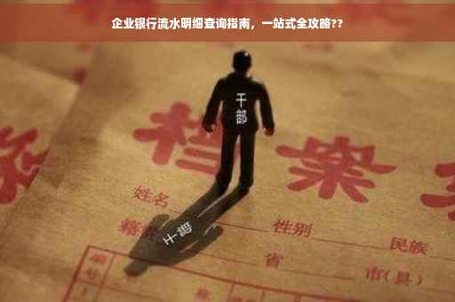 企业银行流水明细查询指南，一站式全攻略??