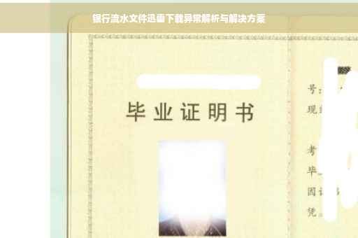 银行流水文件迅雷下载异常解析与解决方案