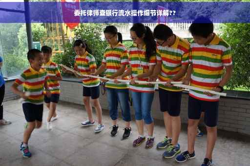委托律师查银行流水操作细节详解??