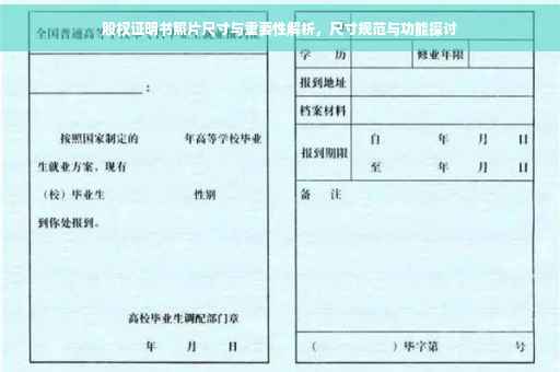 股权证明书照片尺寸与重要性解析，尺寸规范与功能探讨