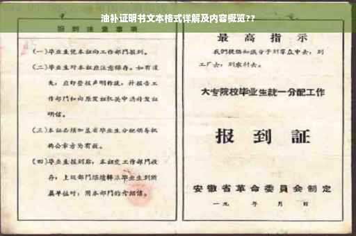 油补证明书文本格式详解及内容概览??