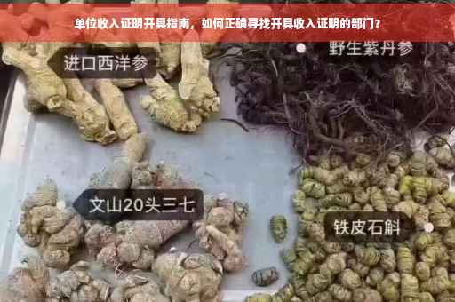 单位收入证明开具指南，如何正确寻找开具收入证明的部门？