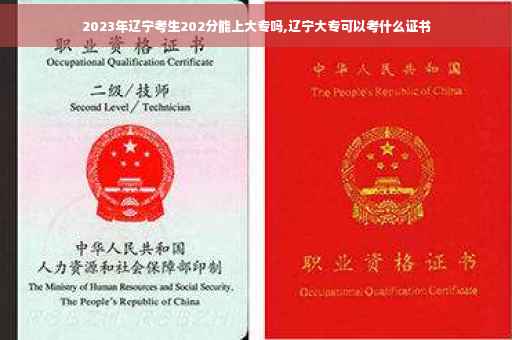 2023年辽宁考生202分能上大专吗,辽宁大专可以考什么证书