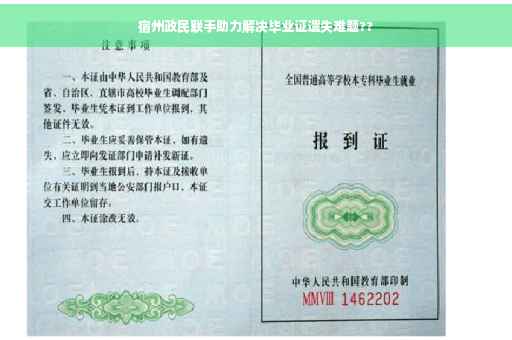 宿州政民联手助力解决毕业证遗失难题??