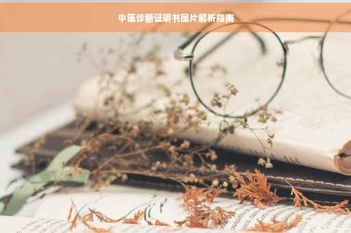 中医诊断证明书图片解析指南