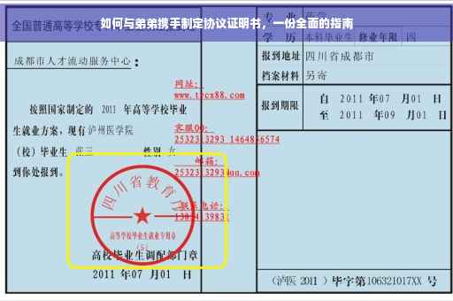 如何与弟弟携手制定协议证明书，一份全面的指南