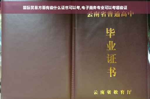 国际贸易方面有些什么证书可以考,电子商务专业可以考哪些证