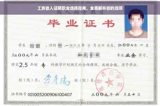 工资收入证明职业选择指南，全面解析你的选项