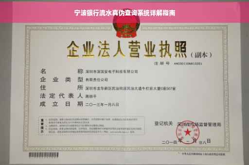 宁波银行流水真伪查询系统详解指南
