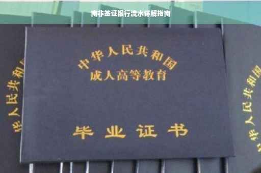 南非签证银行流水详解指南