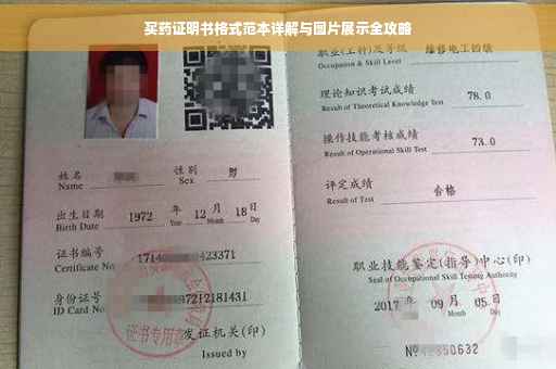 买药证明书格式范本详解与图片展示全攻略