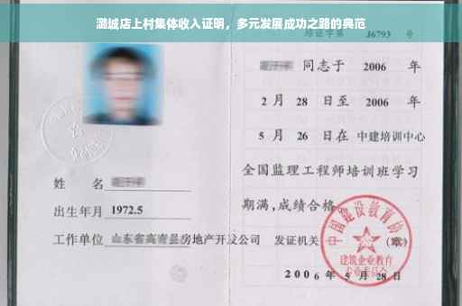 潞城店上村集体收入证明，多元发展成功之路的典范