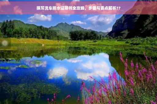 撰写洗车排水证明书全攻略，步骤与要点解析??